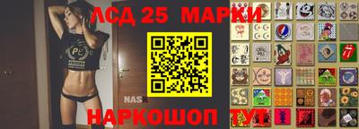гидропоника Шахты