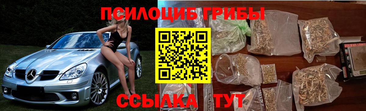 Галлюциногенные грибы прущие грибы  Галлюциногенные грибы прущие грибы  Котлас  Вход с VPN 